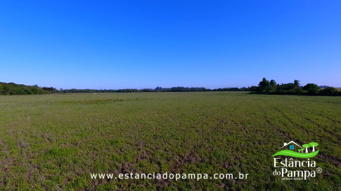 DOS EÓLICOS VIRA P FAZENDA_Moment.00_00_47_13.Quadro170_5b2872bc0d45a75669028a59873edce814e4d69a.jpg